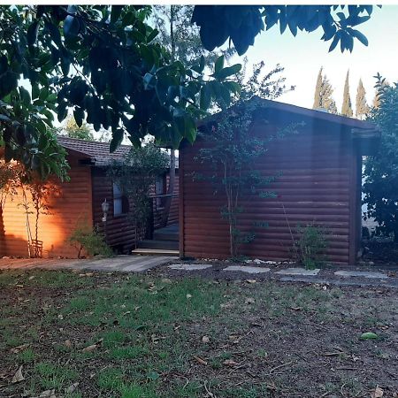 A Fun Holiday In The Galilee Sede Eli'ezer Exterior foto