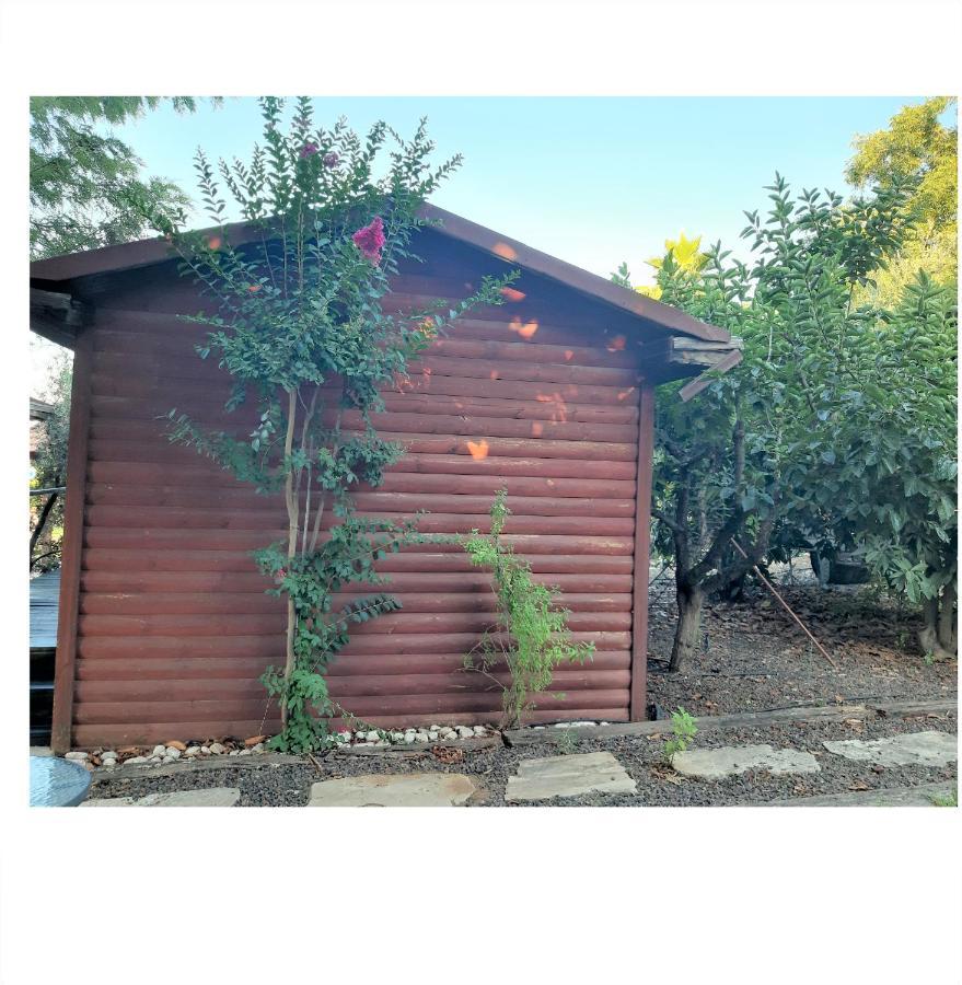 A Fun Holiday In The Galilee Sede Eli'ezer Exterior foto