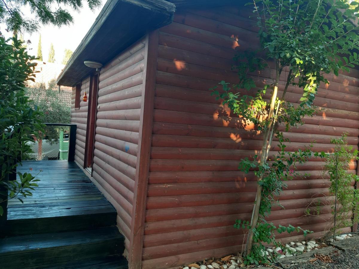 A Fun Holiday In The Galilee Sede Eli'ezer Exterior foto