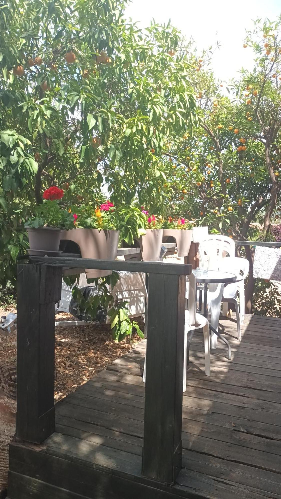 A Fun Holiday In The Galilee Sede Eli'ezer Exterior foto